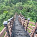 곡성-131 이미지