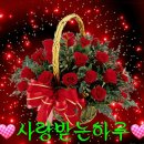 섹시한 여자 터프여자 이미지