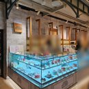 해피분당서현대리점 | 서현역케이크 서현역레어링케이크 해피베어데이 분당 AK프라자 도시락케이크