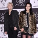 김보아 카카오 검색결과