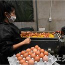 박주환농장 이미지