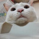 꾸름 이미지