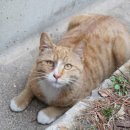 너와나,묘연 | [당첨자발표] 우리의 묘연은 12월의 어느 멋진 날에