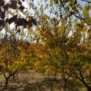 세찬농장 이미지