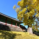 능주향교 이미지