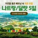 신세계관광여행사 이미지
