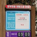 꽃;설렘