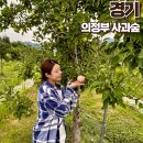 석이농장 | 의정부 실내데이트 사과농장이 있는 디저트 맛집 카페 사과숲