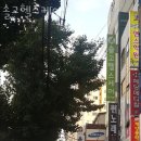 솔고헬스케어 네이버블로그