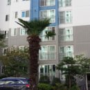 아주2로2길 이미지