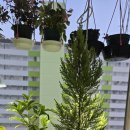 아델라농장 이미지