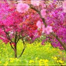 석화촌 이미지
