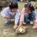 동부초교병설유치원 이미지