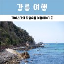 강릉 1박2일 뚜벅이 여행코스 가볼만한곳 정동진 바다부채길까지
