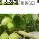 프롬안스