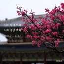 블루닷(BLUE DOT)