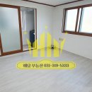 젊음과패기공원2 이미지