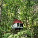 나는숲이다 이미지