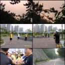 지오세무회계