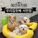 트인아이유치원 | 서면 애견유치원 추천｜층별로 다른 매력, 우리집첫째 서면점 플레이존 &amp; 호텔존 후기