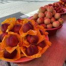 용천농원 이미지