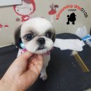 그루밍샵 이미지