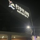 스텔라 | 완도 제주도 배편 골드 스텔라 후기｜차량 선적부터 새벽배 제주항 도착까지