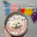 댕댕이# | [슈퍼멍멍] 달콤하고 귀여운 강아지케이크로 댕댕이 생파 후기:)