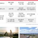 더 캠프 스테이 이미지