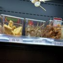 마라쿵젠 이미지