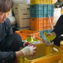 호준농장 이미지