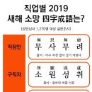 1000 이미지