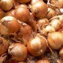 금호농산 이미지