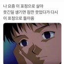 루치펠 이미지