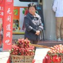 파란망고 Daum카페