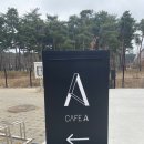 화영아르떼