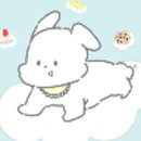 투플러피 이미지