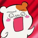 돌고래리조트 이미지