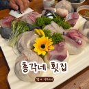 안골로85번길 | 구리역 가족 외식 장소로 추천하고 싶은 총각네 횟집 내돈내산 솔직 방문 후기