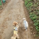 차차네 유치원 이미지