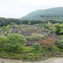 메이즈랜드 이미지