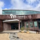 감귤박물관 족욕체험장 화장실 | [서귀포감귤박물관] 제주도 서귀포 가볼 만한 박물관, 제주도 부모님 여행 장소 추천