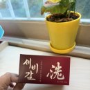 황감 | 세비감 삼환관리로 시작한 체질 이동 다이어트 후기