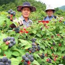 ▶자연과 생활 (2016/06월/2째주) 이미지