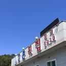 밀양 향어회 맛집 강촌횟집
