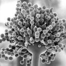 고은세탁 이미지