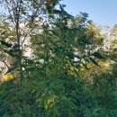 행당6구역근린공원 | 서울숲남산길 걷다 2