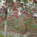산들산들영농조합법인 이미지