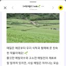 씨앗과 숲