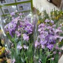 의왕농협포일지점 이미지